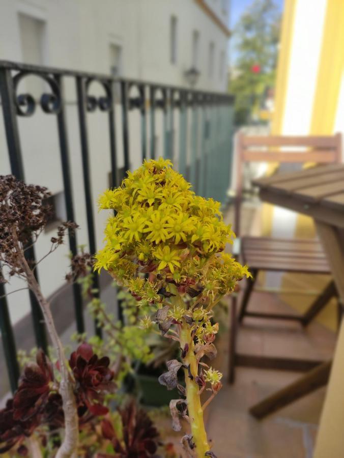 Vive Triana Apartment Seville Luaran gambar