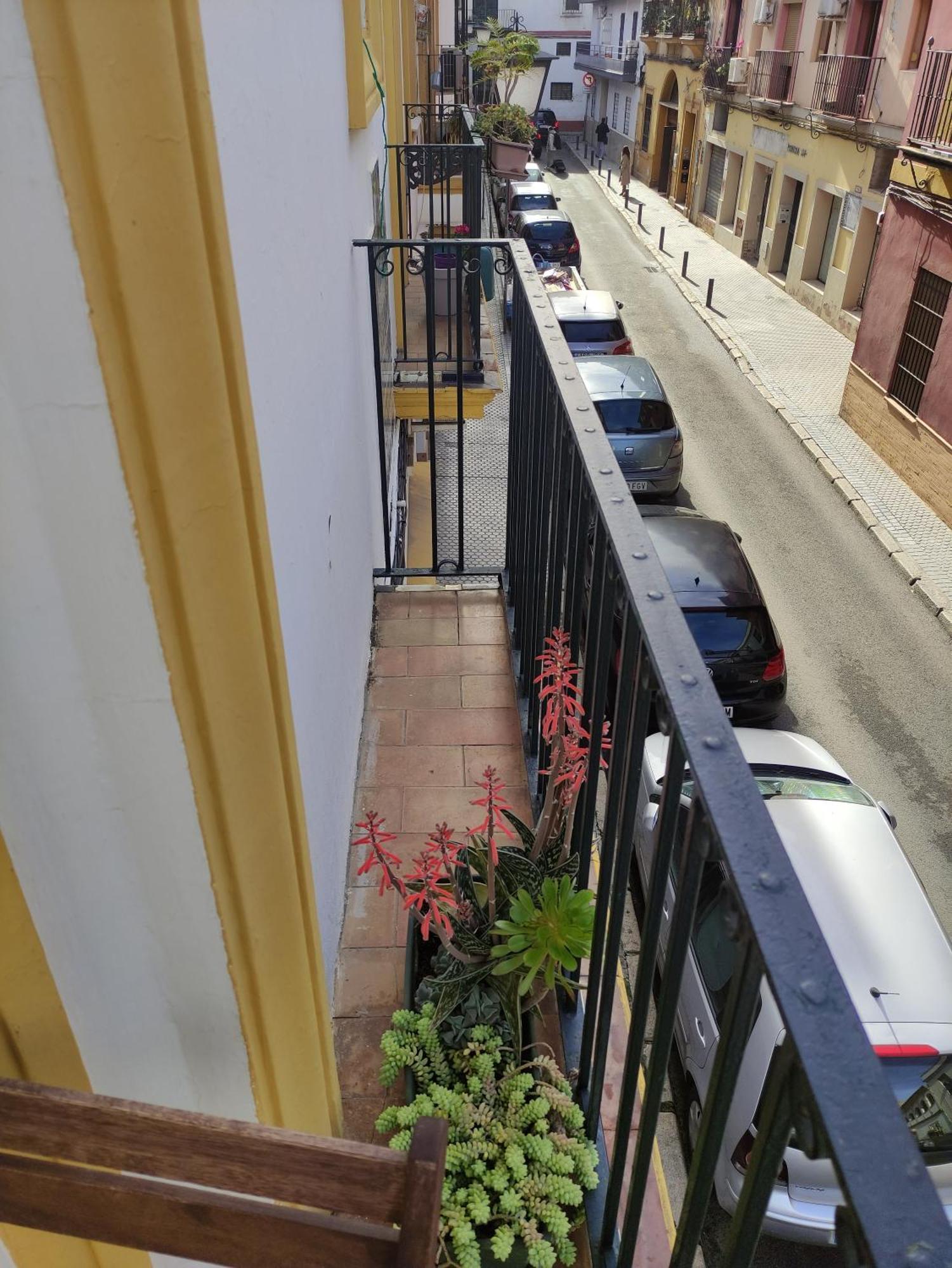 Vive Triana Apartment Seville Luaran gambar